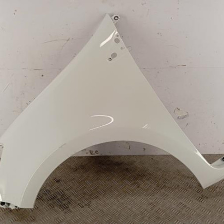 Aile avant gauche RENAULT CLIO 3 Photo n°1