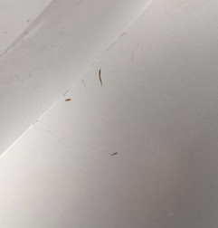 Aile avant gauche RENAULT CLIO 3 Photo n°3