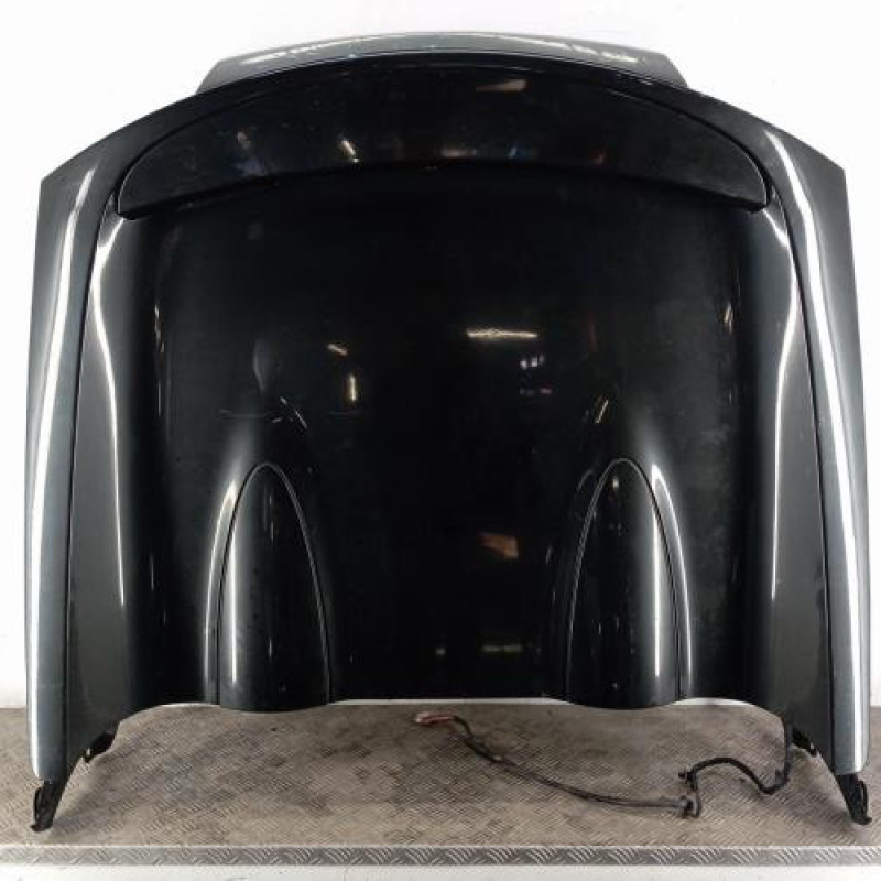 Malle/Hayon arriere RENAULT WIND