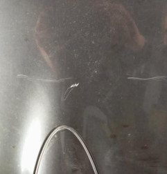 Malle/Hayon arriere RENAULT WIND