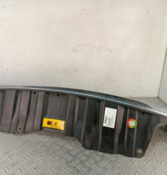 Calandre MINI MINI 2 R61