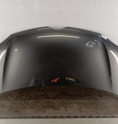 Capot RENAULT TWINGO 3 Photo n°1