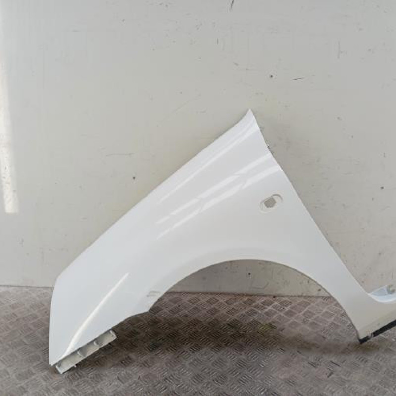 Aile avant gauche RENAULT CLIO 2