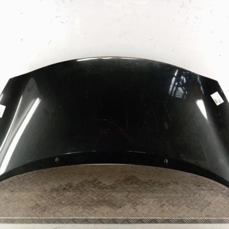 Capot RENAULT WIND Photo n°1