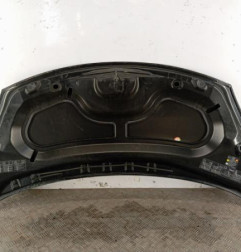 Capot RENAULT WIND Photo n°5