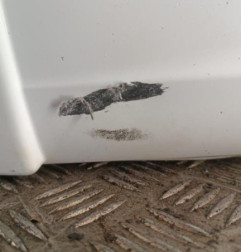 Pare choc avant PEUGEOT 207