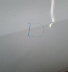 Porte avant droit KIA VENGA Photo n°3