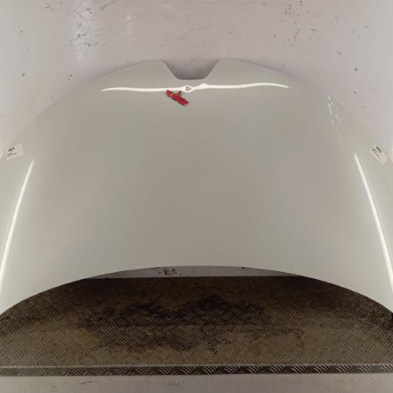 Capot RENAULT ZOE 1