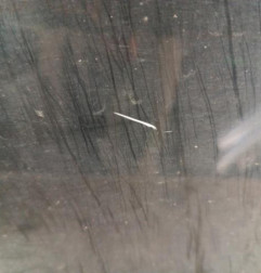 Porte avant gauche RENAULT CLIO 4 Photo n°4