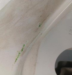 Porte avant gauche RENAULT KANGOO 1