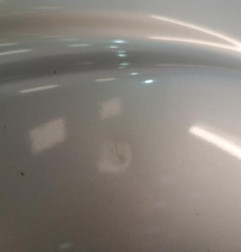 Aile avant droit NISSAN NAVARA 1 Photo n°3