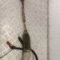 Cremaillere assistee CITROEN C3 2