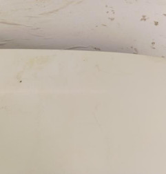 Capot PEUGEOT 106 Photo n°3