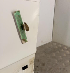 Porte avant gauche PEUGEOT 206 Photo n°4