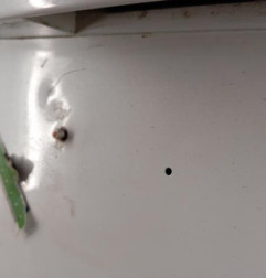 Malle/Hayon arriere RENAULT ZOE 1