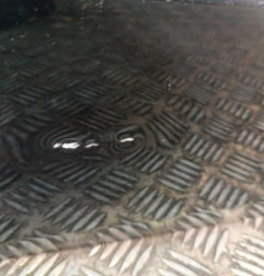 Porte avant droit VOLKSWAGEN POLO 5 Photo n°3