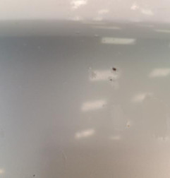 Capot NISSAN NAVARA 1 Photo n°3