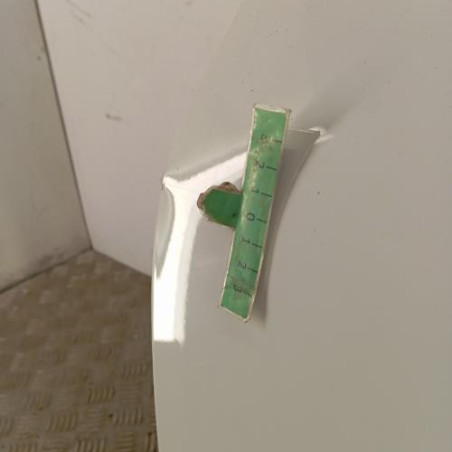 Porte avant gauche RENAULT CLIO 2