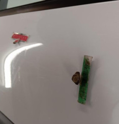 Porte avant gauche RENAULT CLIO 2 Photo n°5