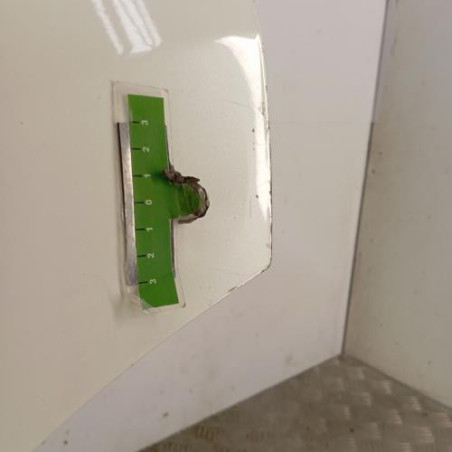 Porte arriere gauche NISSAN QASHQAI 1