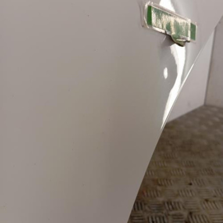 Porte arriere gauche CITROEN C3 2