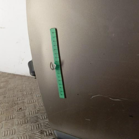 Porte avant gauche DACIA LOGAN MCV 2