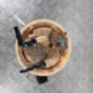 Pompe de gavage PEUGEOT 206
