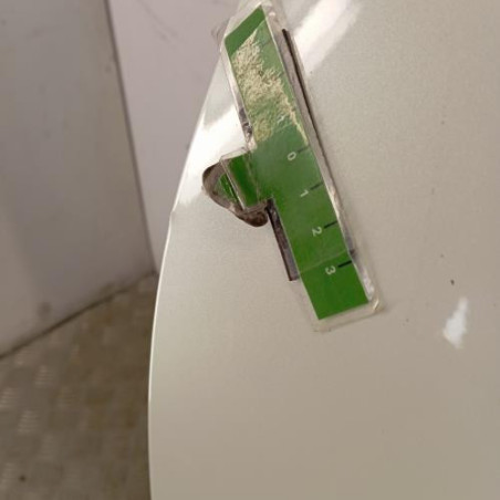 Porte avant gauche NISSAN QASHQAI 1