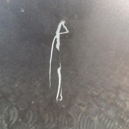 Porte avant droit CITROEN C4 2