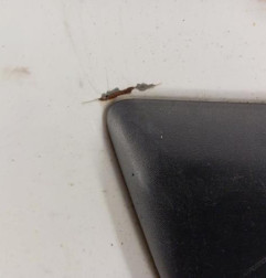 Porte avant gauche RENAULT MASTER 3 Photo n°6