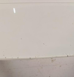 Malle/Hayon arriere OPEL ASTRA K Photo n°4