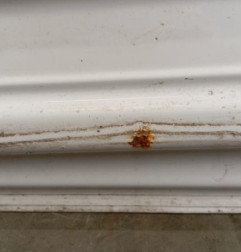 Porte avant gauche VOLKSWAGEN CRAFTER 1 Photo n°5