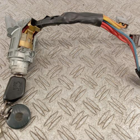 Neiman PEUGEOT 406 Photo n°1