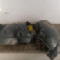 Pare boue avant droit RENAULT CLIO 3