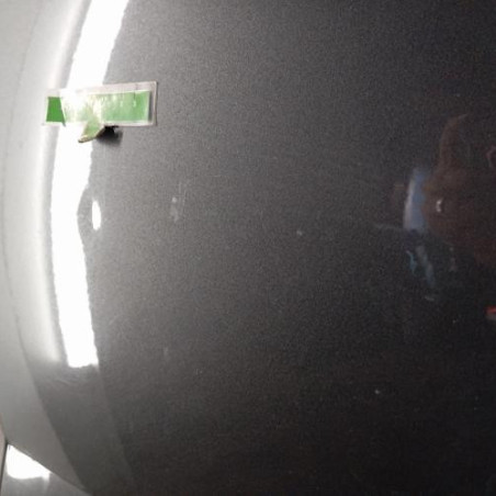 Porte arriere gauche PEUGEOT 5008 1