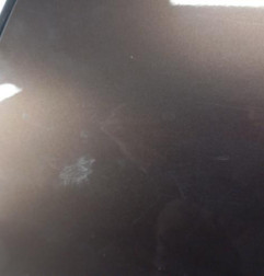 Porte arriere gauche RENAULT CAPTUR 1 Photo n°4