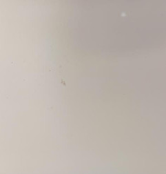 Porte avant droit PEUGEOT 208 1 Photo n°3