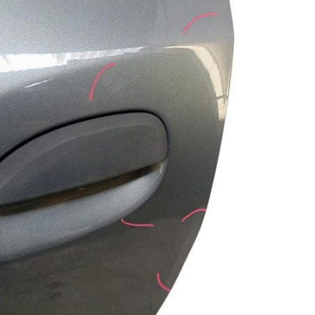 Porte arriere gauche DACIA SANDERO 2