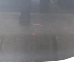 Porte arriere gauche DACIA SANDERO 2 Photo n°4