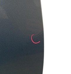 Porte avant droit DACIA SANDERO 2 Photo n°4