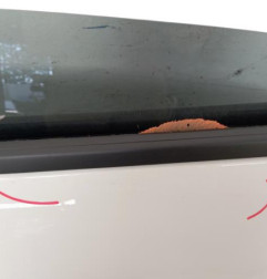 Porte arriere gauche CITROEN C3 3 Photo n°3