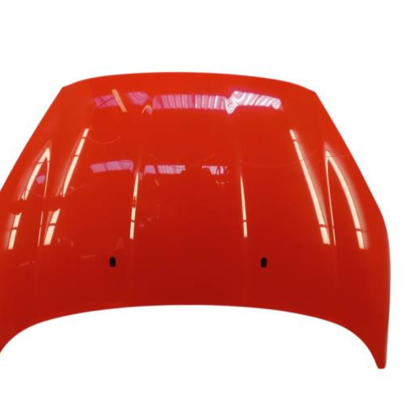 Capot FORD FIESTA 6
