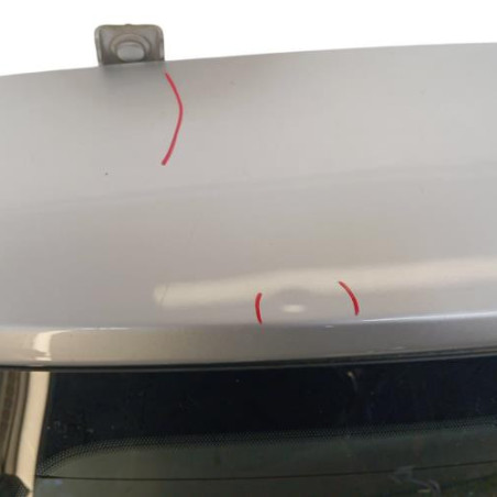 Malle/Hayon arriere DACIA DUSTER 2