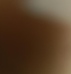 Pulseur d'air CITROEN JUMPER 3 Photo n°4