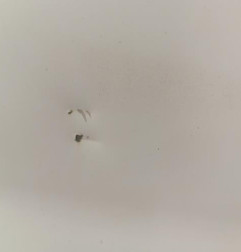 Porte de coffre droit RENAULT TRAFIC 2