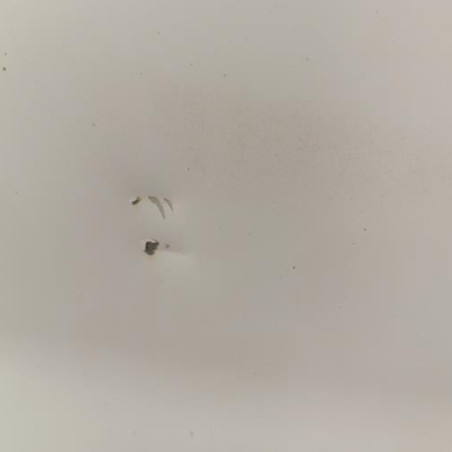 Porte de coffre droit RENAULT TRAFIC 2