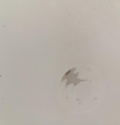 Porte de coffre droit RENAULT TRAFIC 2 Photo n°3