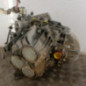 Boite de vitesses FIAT DUCATO 3