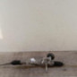 Cremaillere assistee PEUGEOT 307