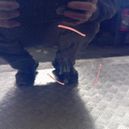 Porte avant gauche RENAULT R5